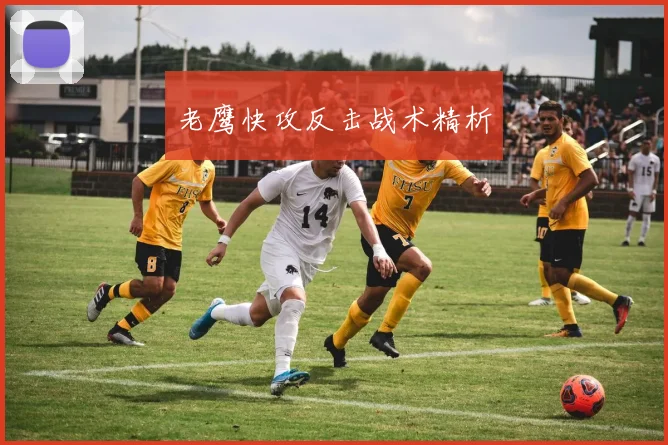 老鹰快攻反击战术精析