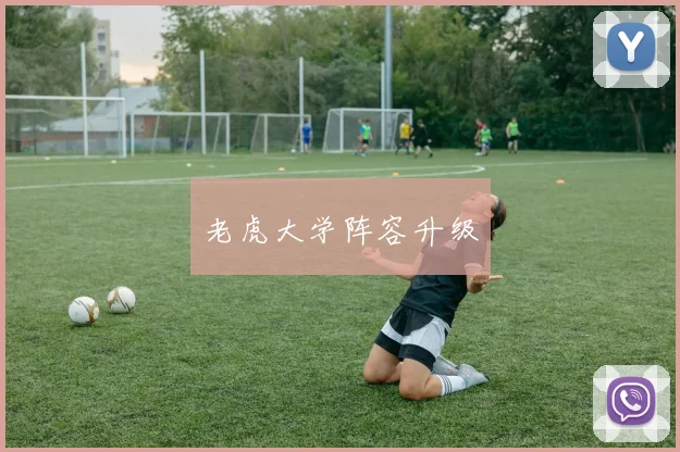 老虎大学阵容升级