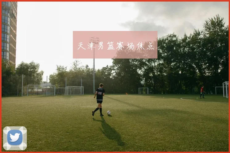 天津男篮赛场焦点