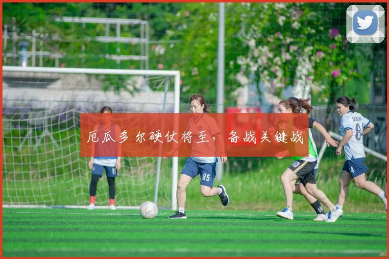 厄瓜多尔硬仗将至，备战关键战