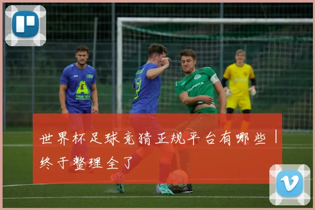 世界杯足球竞猜正规平台有哪些｜终于整理全了